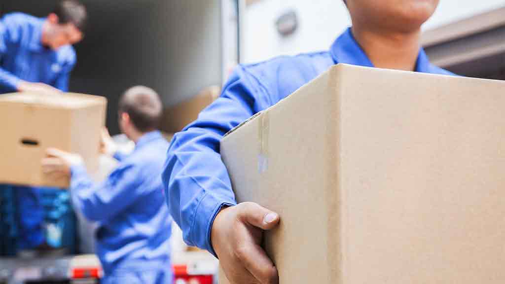 removalists carrying boxes