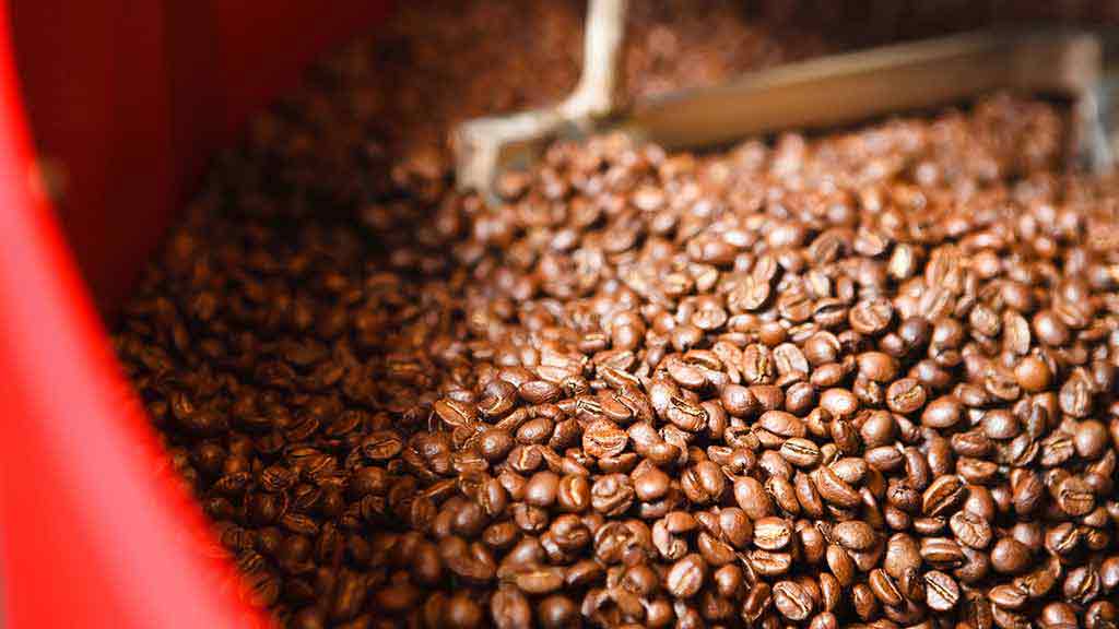 coffee beans ready for roasting