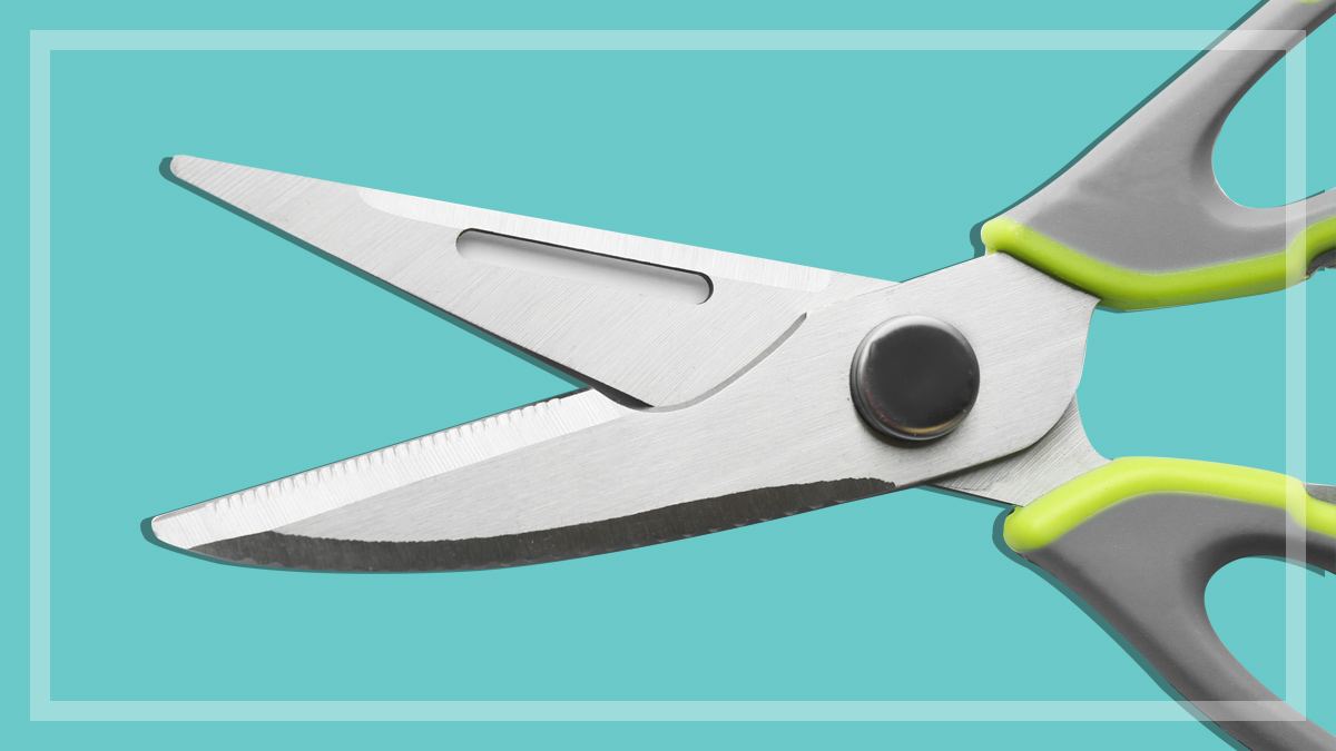 How to choose the best kitchen shears sharp kitchen shears for cutting