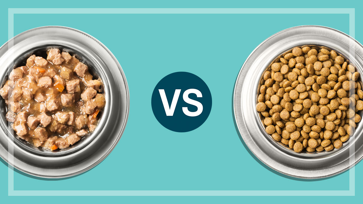 wet pet food vs dry pet food