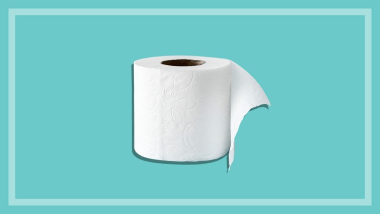 roll of toilet paper