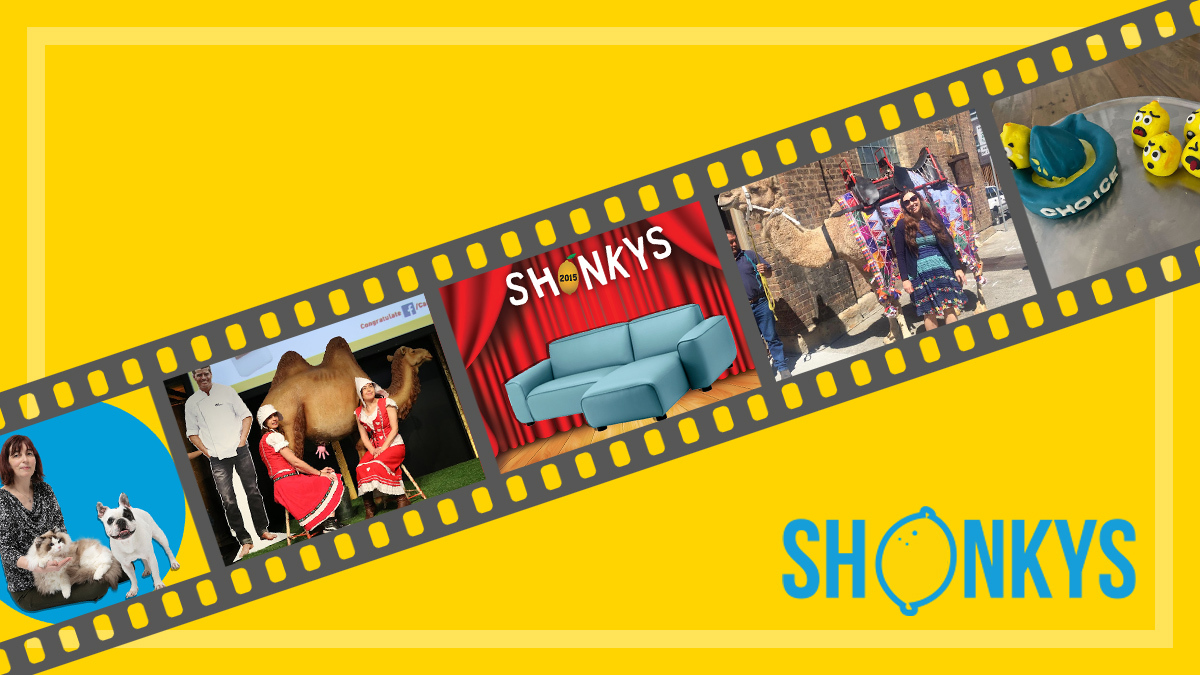 shonkys choice staff favourites