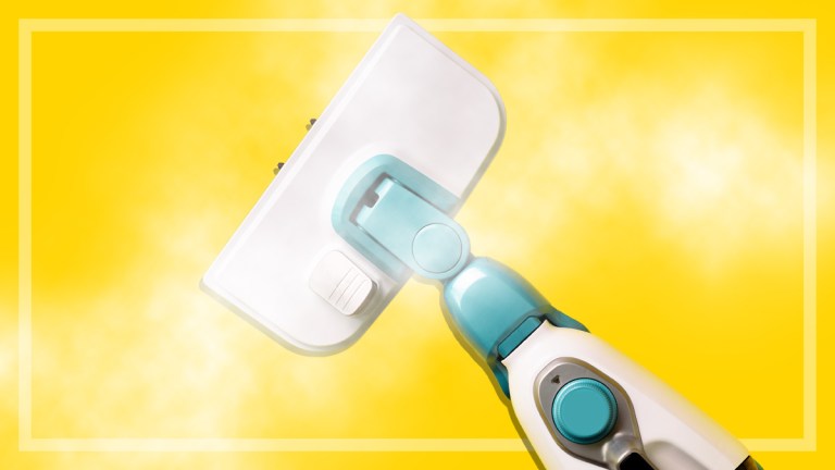 best brand steam mop