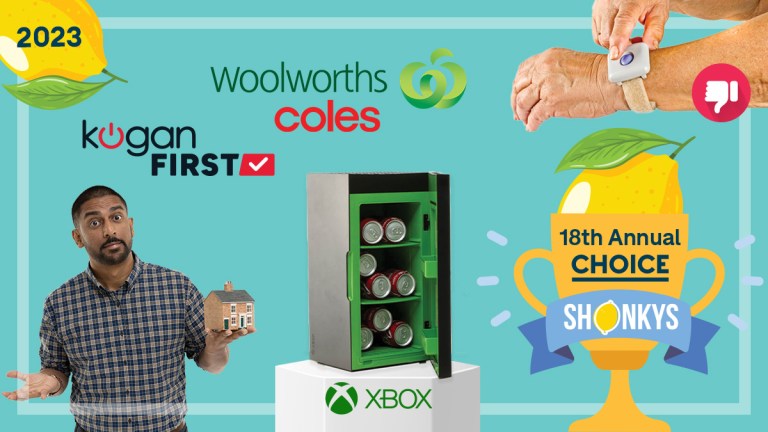 Shonkys round up 2023 lead image