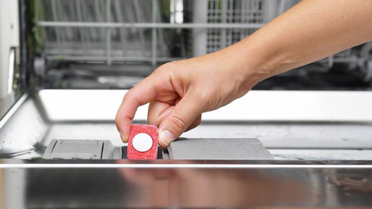 hand placing dishwasher tab into door