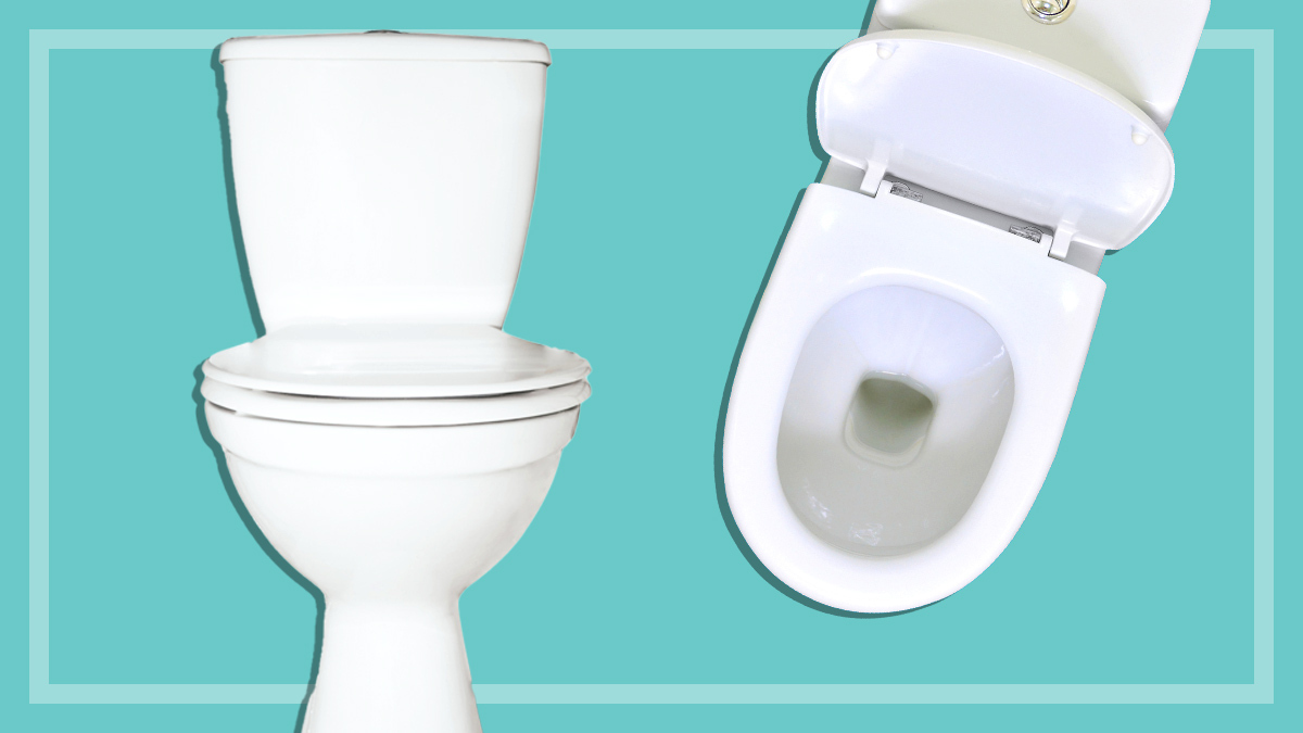 two_toilets_on_blue_background_reviews