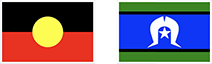 First Nation flags