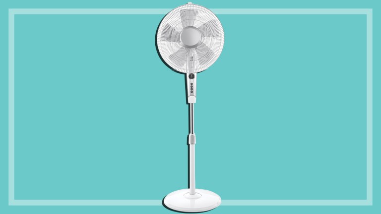 white pedestal fan