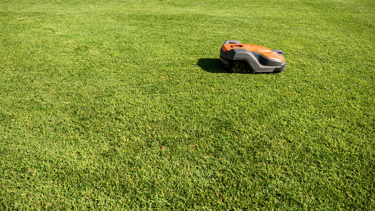 robot_lawn_mower_mowing_grass_review