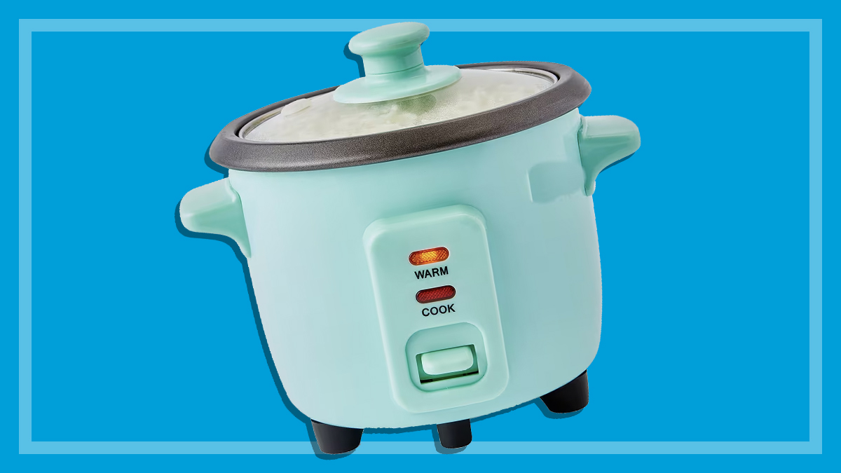 fifteen dollar kmart mini rice cooker