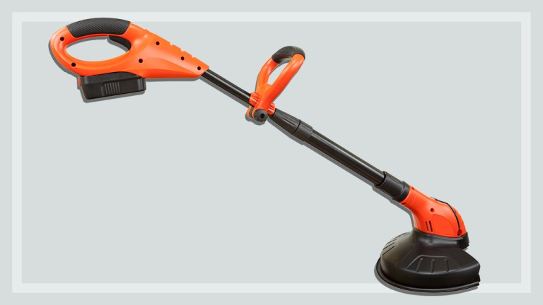 whipper snipper cuts grass