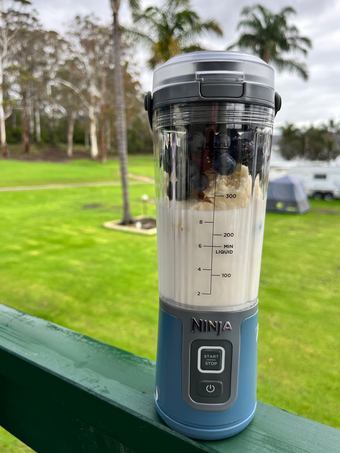 ninja_blast_portable_with_smoothie_ingredients