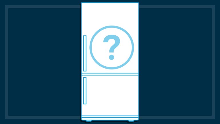 which are the best fridges