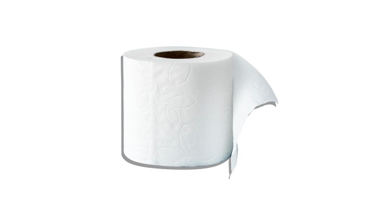 roll of toilet paper