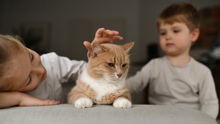 Two children patting a a cat on a sofa.